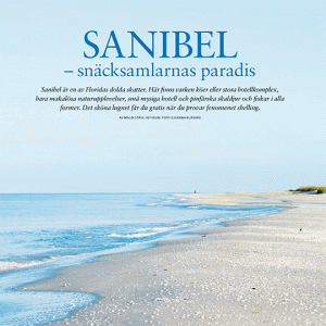 Sanibel1